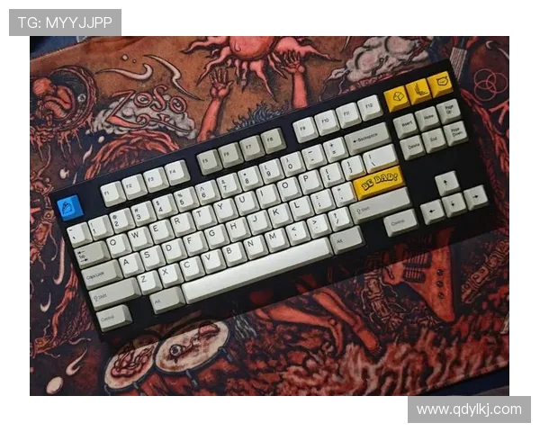 韩国热销健身器材品牌盘点设计与实用兼备