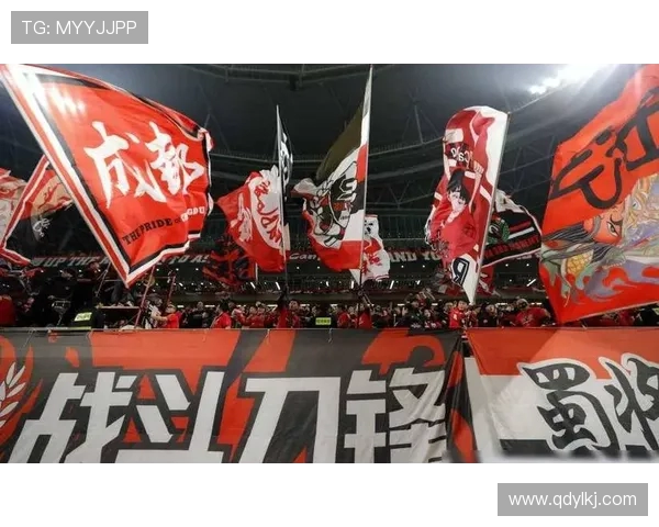 风雨十二载坚守南京足球文化在中超赛场绽放新生 风雨十二载坚守南京足球文化在中超赛场绽放新生