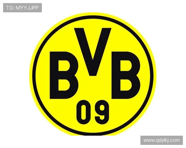 当前德甲联赛包括的十八支球队名单