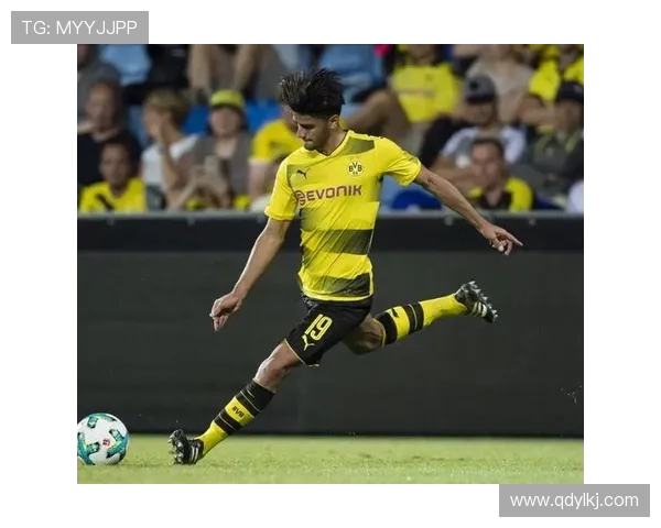 德甲保级球队传统核心球员介绍及其作用分析