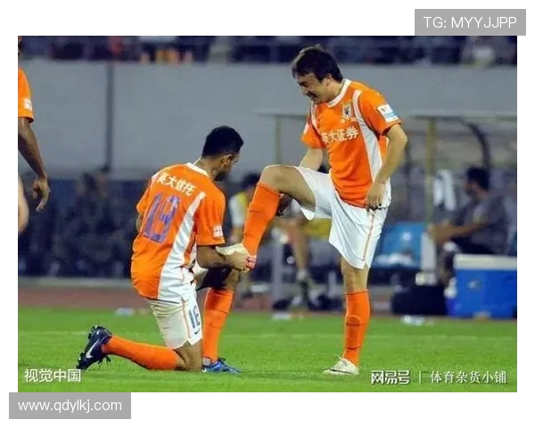 法甲外援表现差异及其对球队成绩的影响